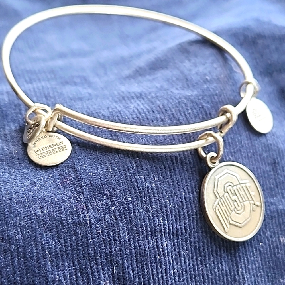 Alex and Ani Bangle - Silver
